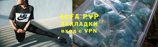 стаф Балахна