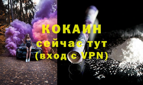 стаф Балахна
