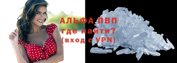 стаф Балахна