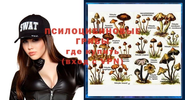 молекула духа Балабаново