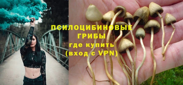 стаф Балахна