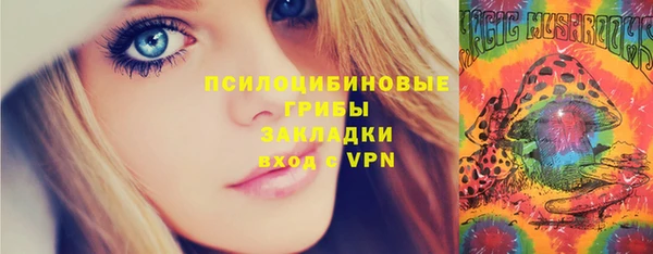 стаф Балахна